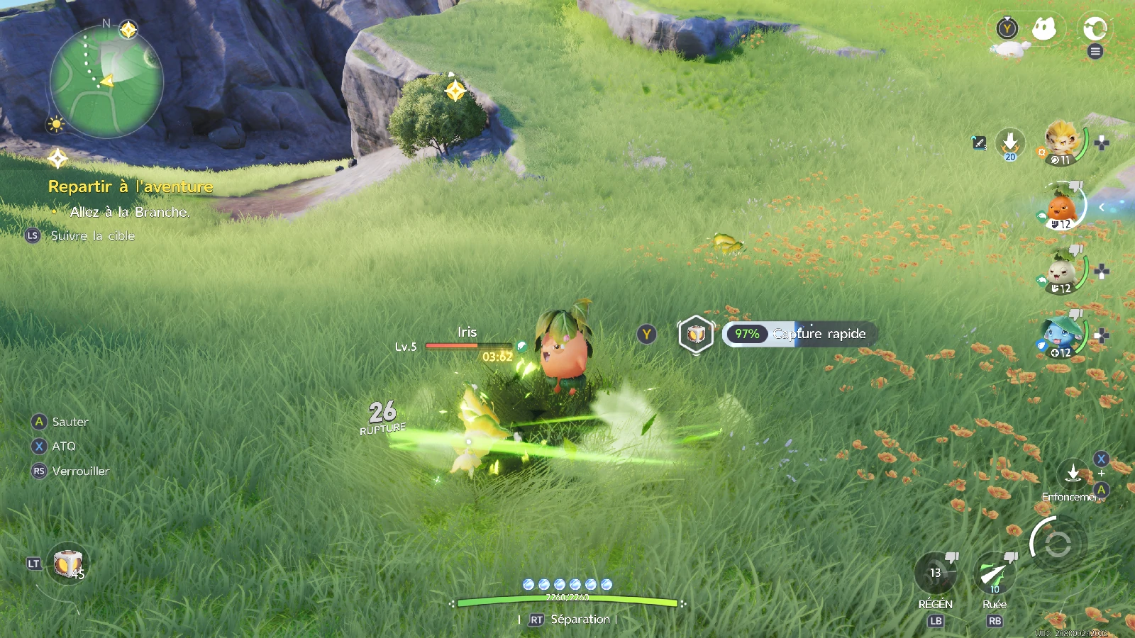 Jauge de capture rapide à 97 % sur un Iris de niveau 5, capture d'Aniimo
