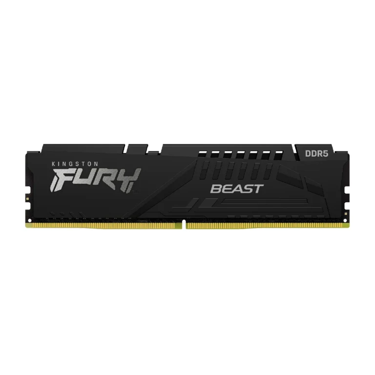 Barrette de mémoire DDR5 Kingston FURY Beast noire sur fond blanc