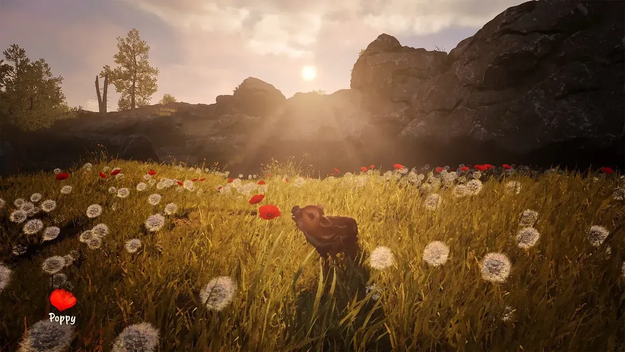 Capture du jeu Adorable Adventures