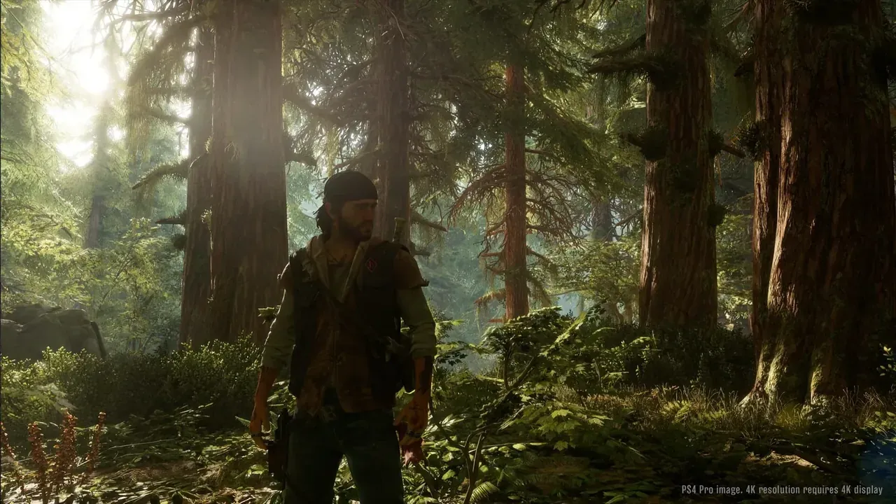 Capture du jeu Days Gone