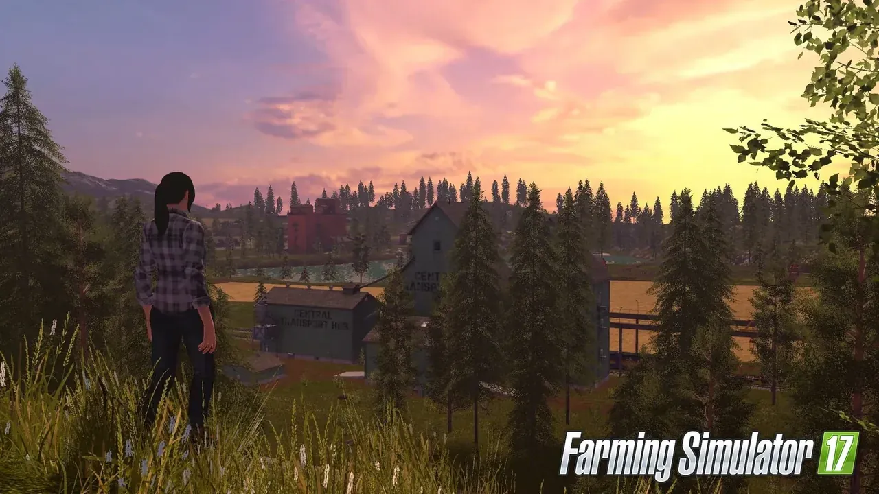 Capture du jeu Farming Simulator 17