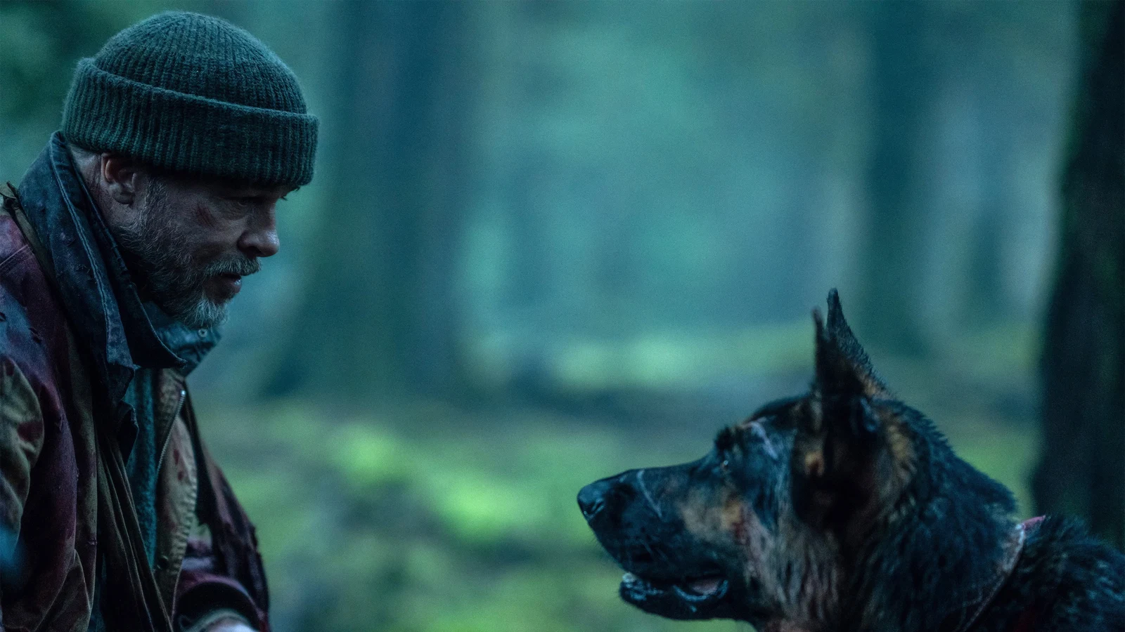 Lire la suite à propos de l’article Heart of the Beast : Brad Pitt et son chien, à égalité