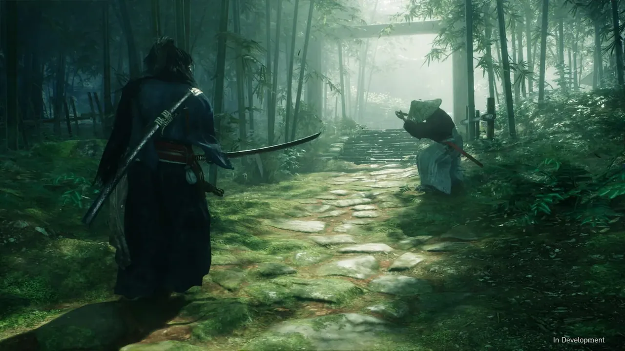Capture du jeu Rise of The Ronin