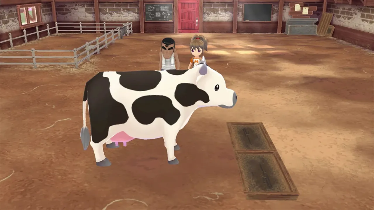 Capture du jeu Story of Seasons: A Wonderful Life
