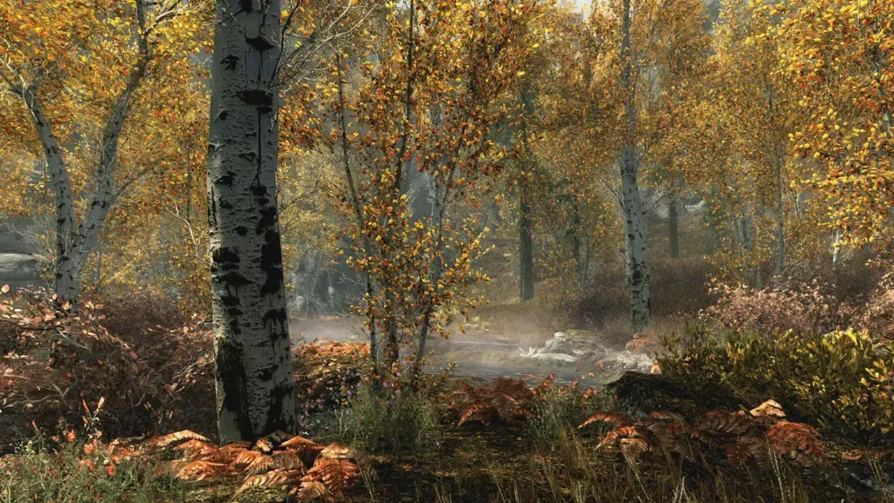 Capture du jeu The Elder Scrolls V: Skyrim – Special Edition