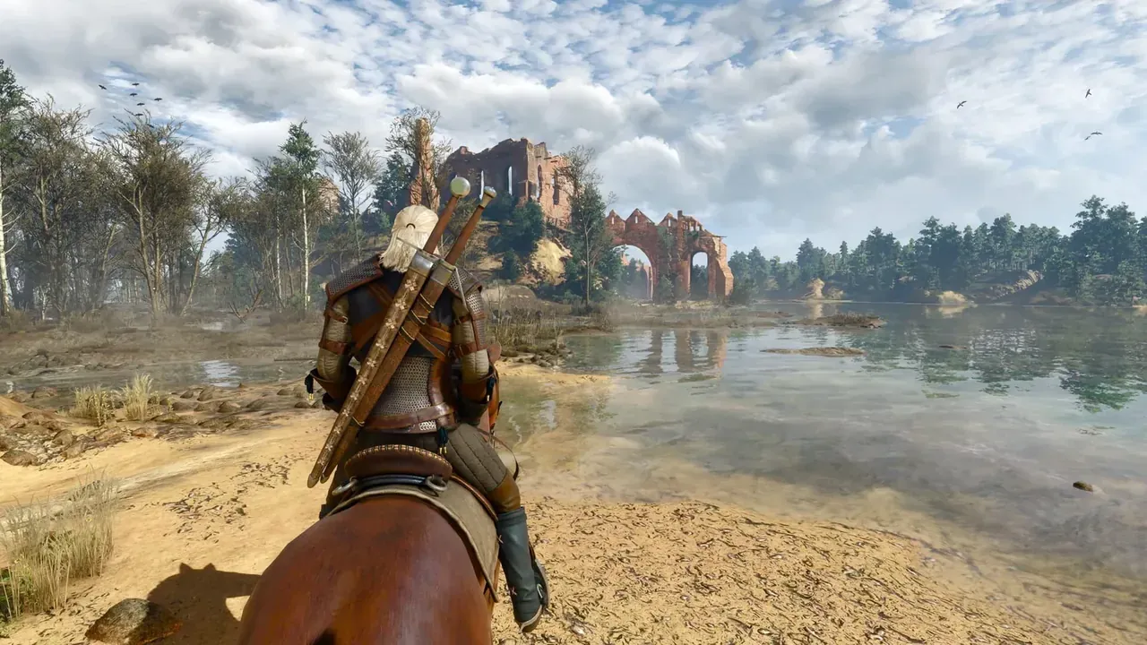 Capture du jeu The Witcher 3: Wild Hunt