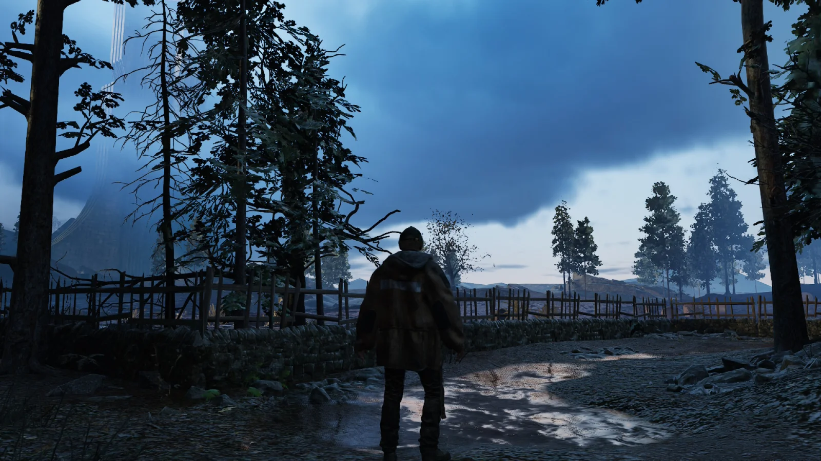 Rémi de dos devant un paysage forestier de Hadéa dans Hell is Us sur Switch 2