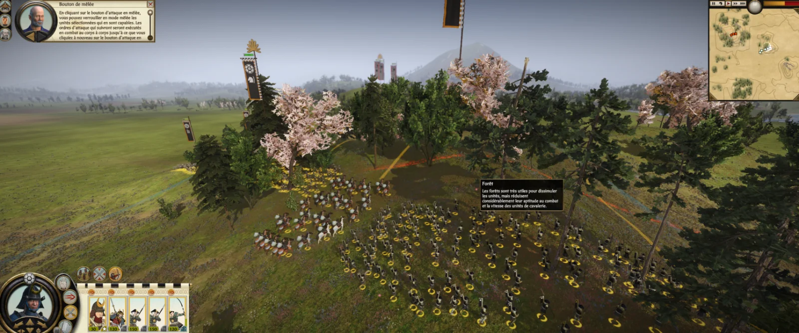 Total War: SHOGUN 2 - Complete Edition, une armée Chosokabe postée dans une forêt de cerisiers en fleurs